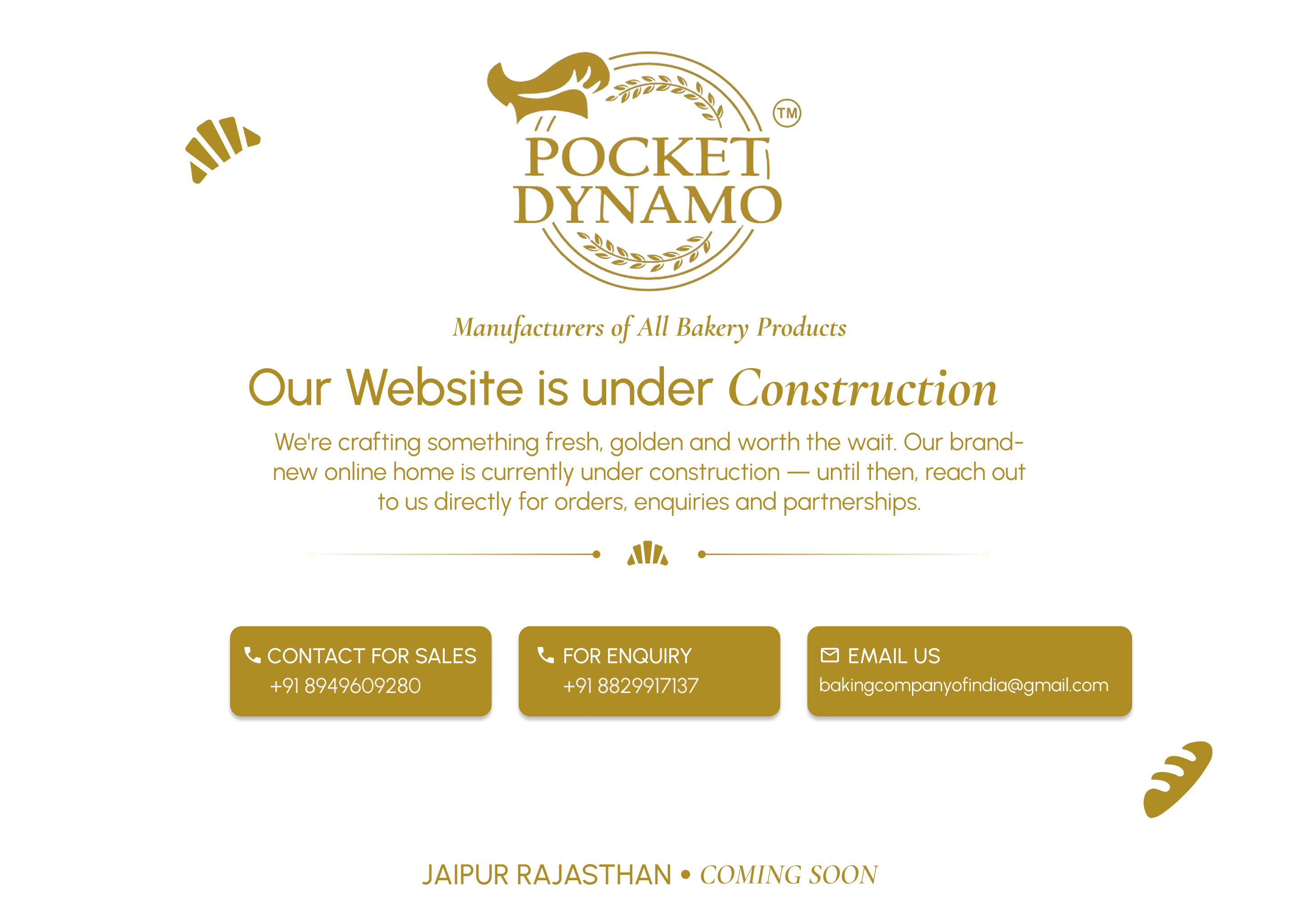Pocket Dynamo - Our Website is Under Construction